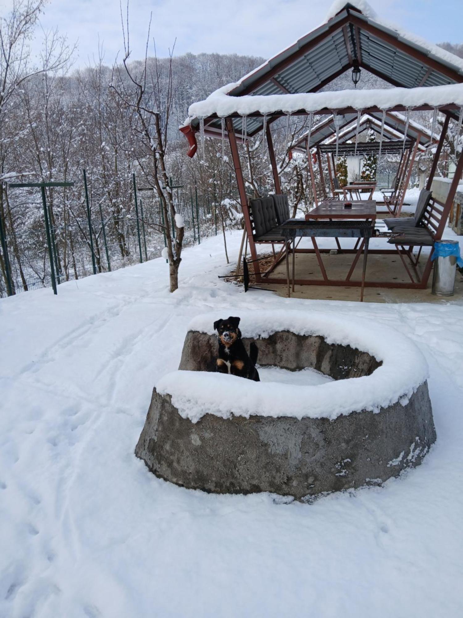 Perla Argesului, Ciubar, Piscina, Lift, Gratar, Cabana, Pensiuni, Hotel Cazare Transfagarasan Curtea De Arges Albestii de Arges Exterior foto