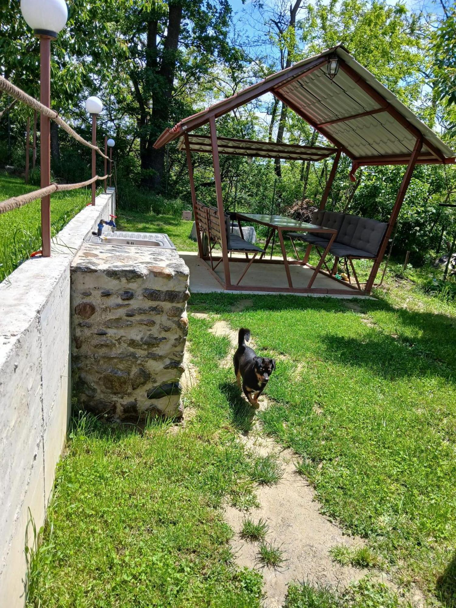Perla Argesului, Ciubar, Piscina, Lift, Gratar, Cabana, Pensiuni, Hotel Cazare Transfagarasan Curtea De Arges Albestii de Arges Exterior foto